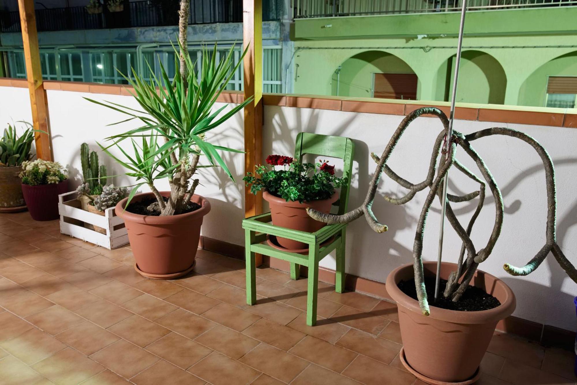 Apartamento Le Terrazze Di Angela Marina di Ragusa Exterior foto